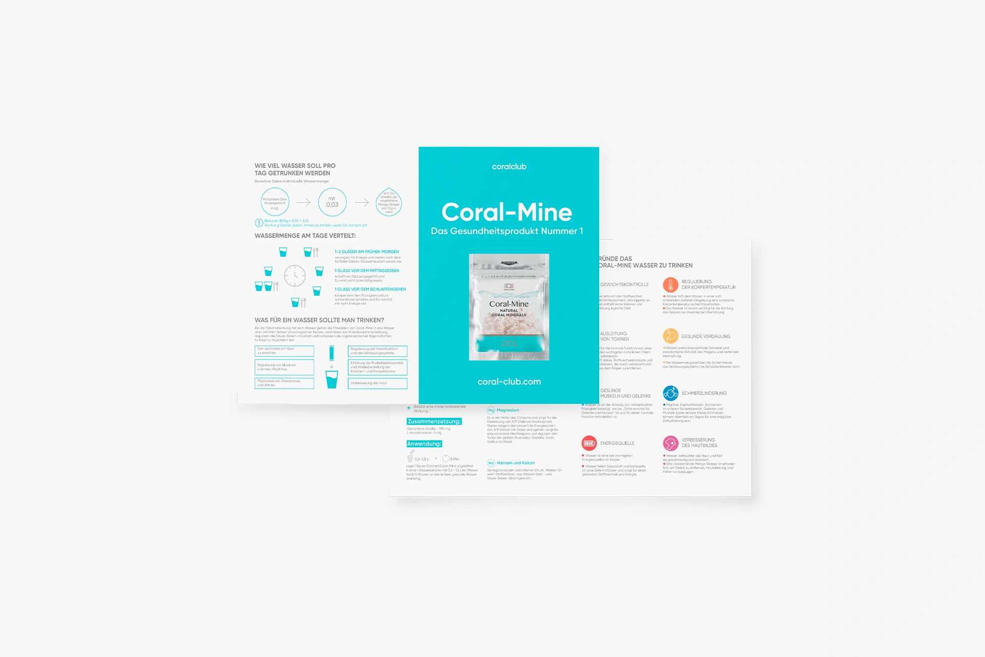 Informational flayer "Coral-Mine"